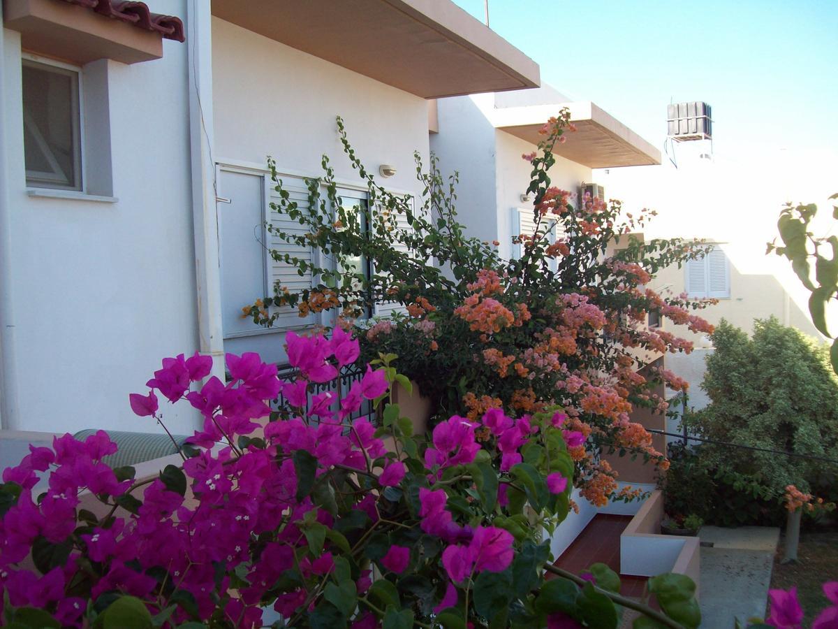 Yannis Apartments Amoudara Lasithiou エクステリア 写真