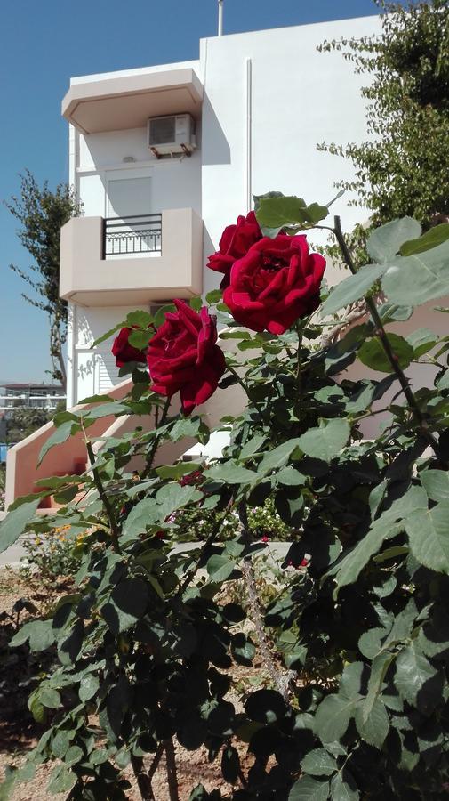 Yannis Apartments Amoudara Lasithiou エクステリア 写真