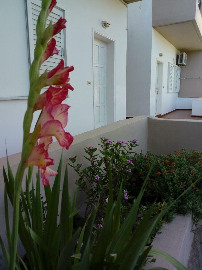Yannis Apartments Amoudara Lasithiou エクステリア 写真