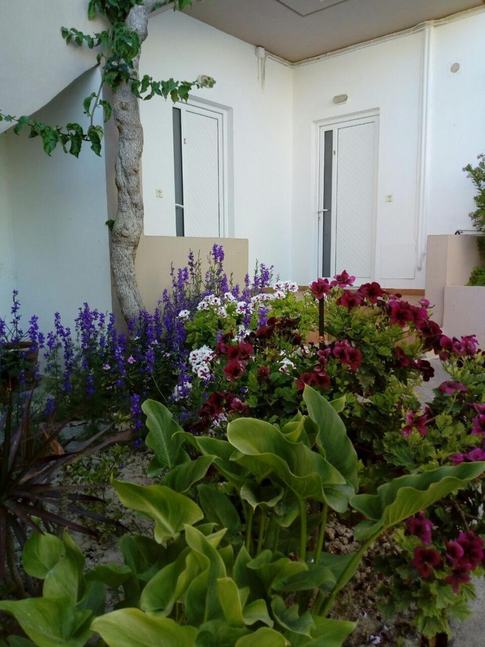 Yannis Apartments Amoudara Lasithiou エクステリア 写真